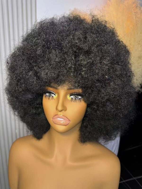 Afro Wig Black